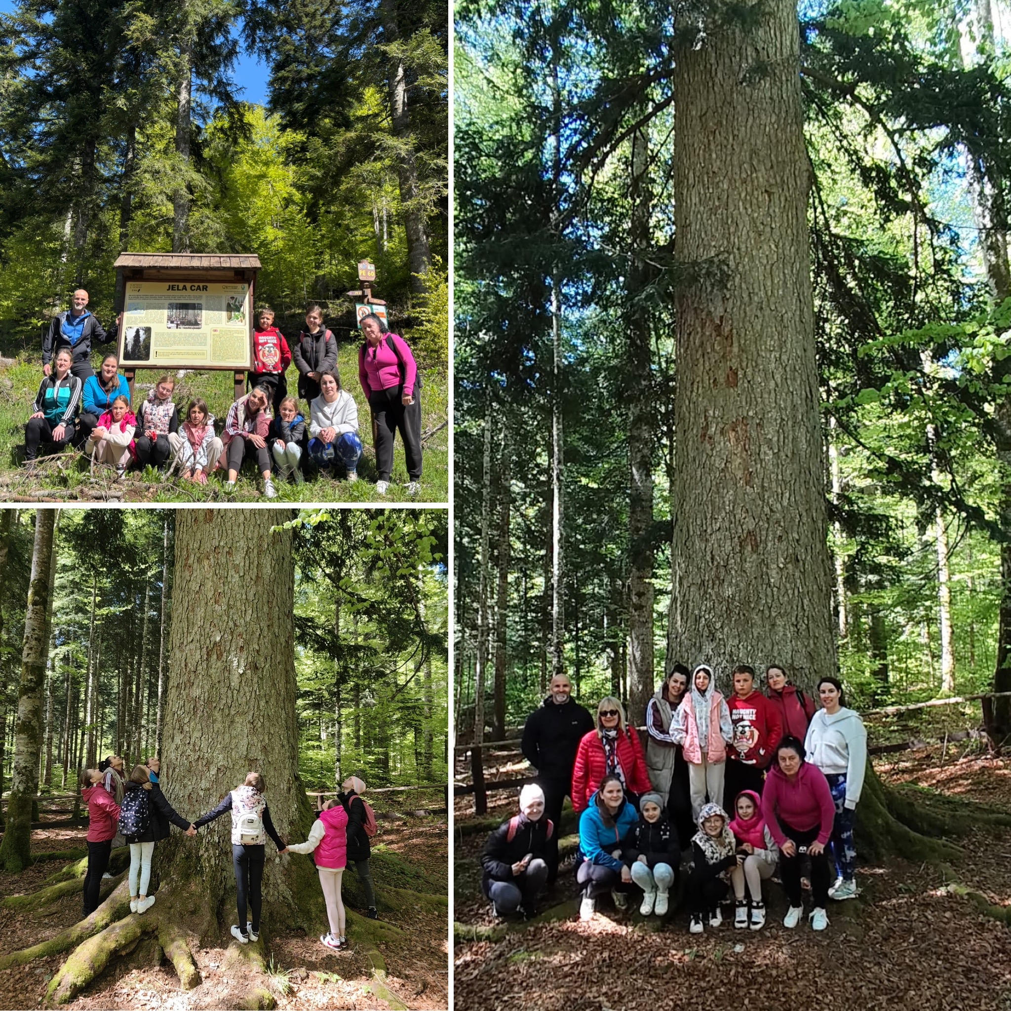 19E12400-0017-4554-86D3-B07A263DDAB6